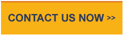 Want to talk to sales? Contact Us Now